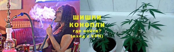 гидра Новокубанск