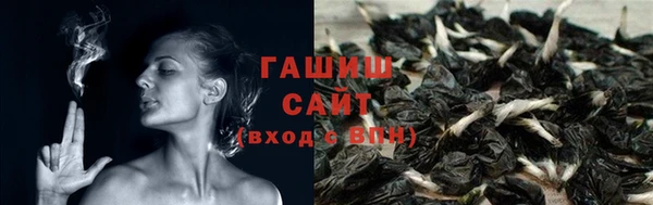 тгк Новодвинск