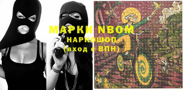 тгк Новодвинск