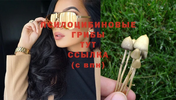 мяу мяу мука Новозыбков