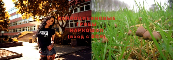 дурь Нея
