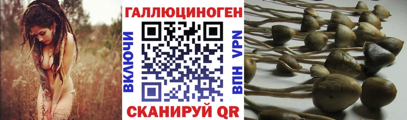Псилоцибиновые грибы мухоморы  где найти наркотики  blacksprut   Боровск 