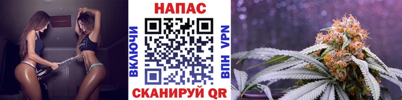 shop состав как найти закладки Боровск Бошки марихуана планчик